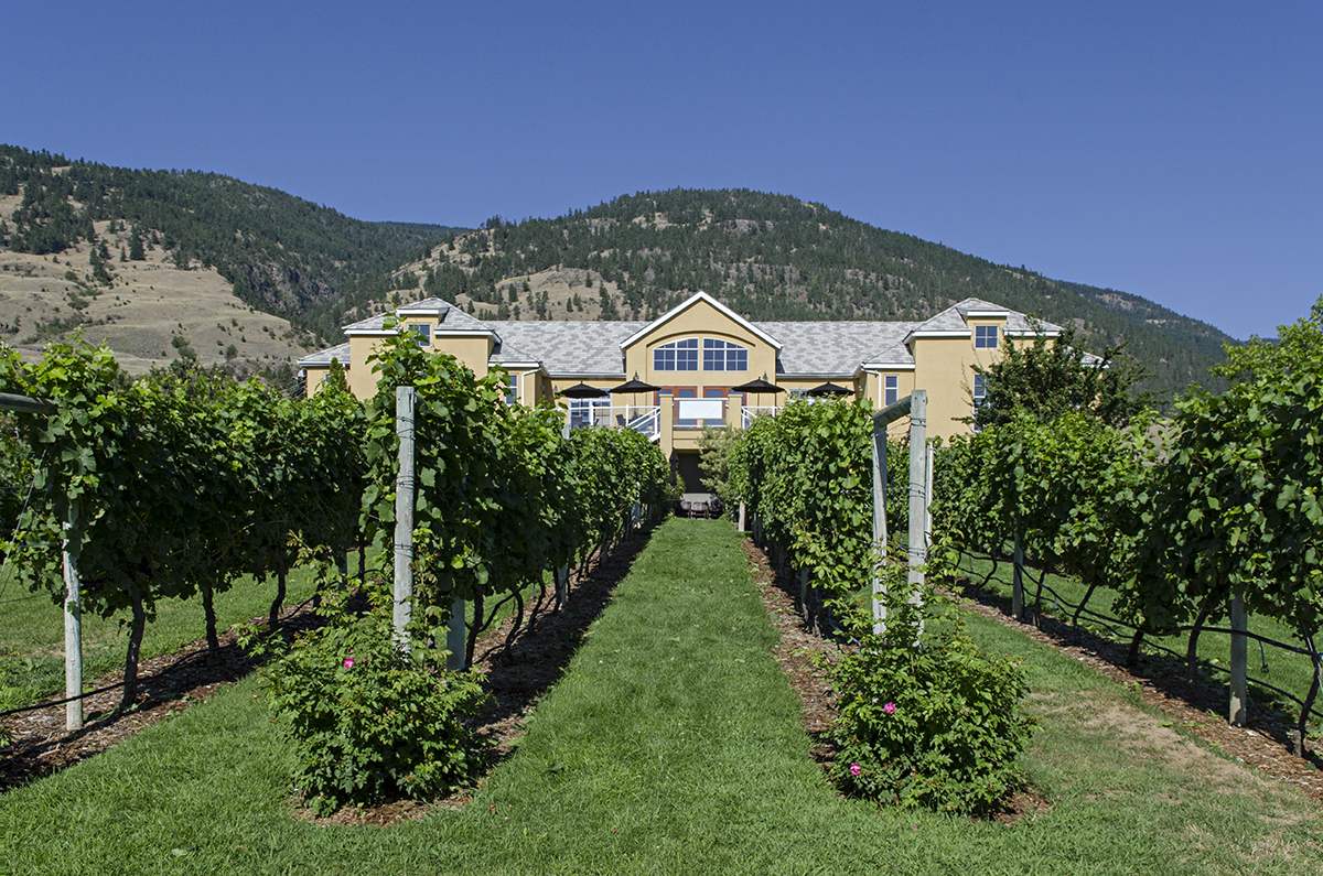 Tinhorn best sale creek winery